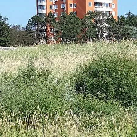 아파트 Meeresrauschen