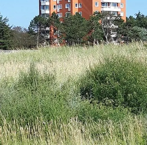 Appartement Meeresrauschen